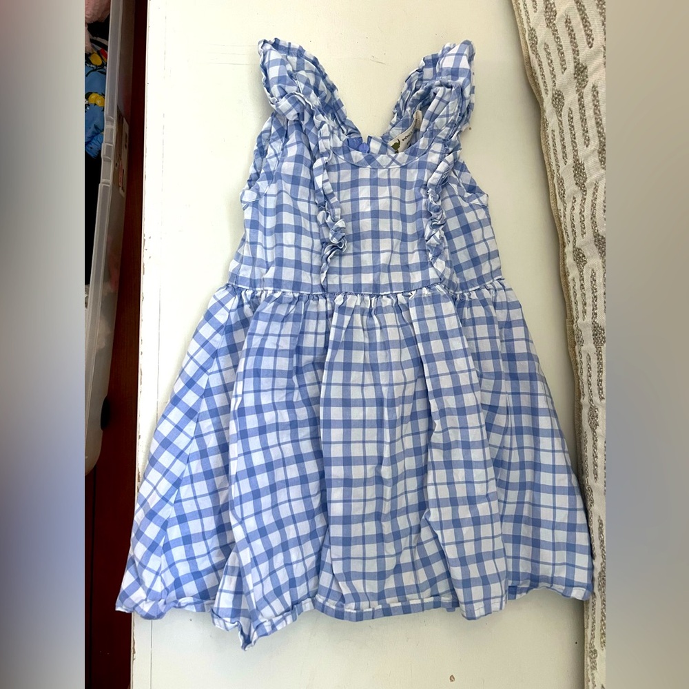 Monica and Andy Dress *like new* 2T